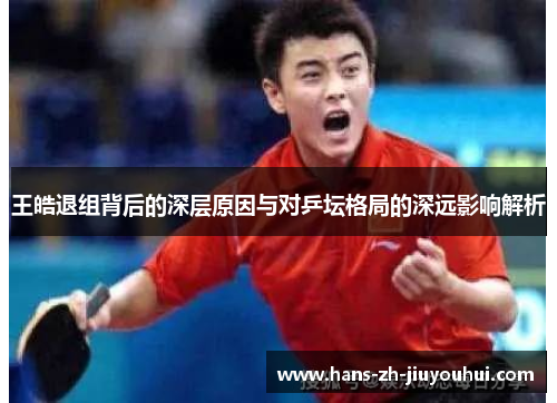 王皓退组背后的深层原因与对乒坛格局的深远影响解析 王皓退组背后的深层原因与对乒坛格局的深远影响解析