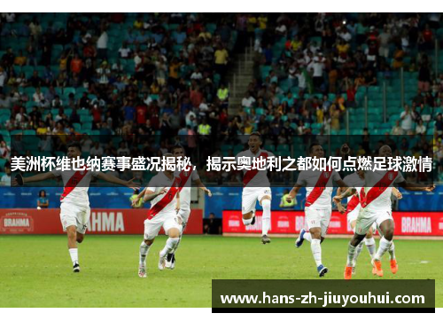 美洲杯维也纳赛事盛况揭秘，揭示奥地利之都如何点燃足球激情